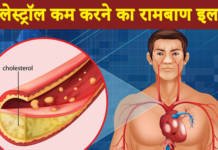 कोलेस्ट्रॉल कम करने का रामबाण इलाज – 11 चीजें जो घटाती हैं कोलेस्ट्रॉल कोलेस्ट्रॉल कम करने का रामबाण इलाज – 10 चीजें जो घटाती हैं कोलेस्ट्रॉल