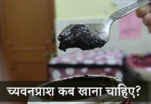 च्यवनप्राश कब खाना चाहिए? – What Is The Right Time To Eat Chyawanprash? च्यवनप्राश कब खाना चाहिए? -when should we eat chyawanprash