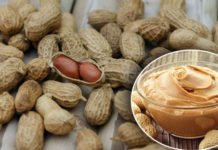 मूंगफली खाने के फायदे और नुकसान – Benefits and side effects of Peanuts मूंगफली खाने के फायदे – 10 Benefits of Peanuts