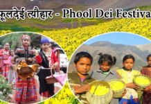 Phool Dei Festival – फूलदेई त्यौहार की सम्पूर्ण जानकारी – 2022 फूलदेई त्यौहार - Phool Dei Festival