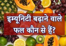 इम्यूनिटी बढ़ाने वाले फल कौन से हैं? – 10 Immunity Booster Fruits इम्यूनिटी बढ़ाने वाले फल कौन से हैं? – 10 Immunity Booster Fruits