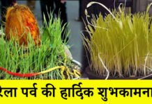 हरेला पर्व कब, क्यों और कैसे मनाया जाता है? – Harela Festival हरेला पर्व कब मनाया जाता है? - Harela Festival of Uttarakhand