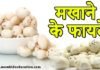 मखाने के फायदे- Benefits of Foxnut मखाने के फायदे- Benefits of Foxnut